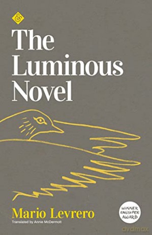 The Luminous Novel - Mario Levrero and translated by Annie McDermott [KSIĄŻKA]