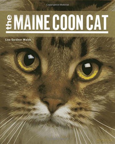 The Maine Coon Cat - Liza Gardner Walsh [KSIĄŻKA]