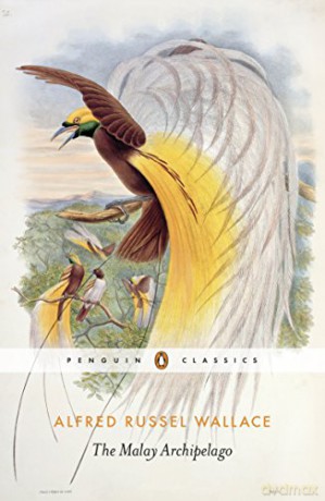 The Malay Archipelago - Alfred Russel Wallace [KSIĄŻKA]