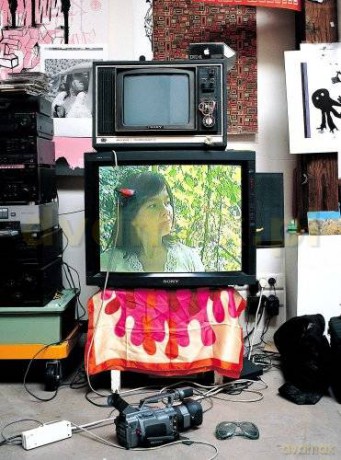 Bjork: Minuscule [DVD]