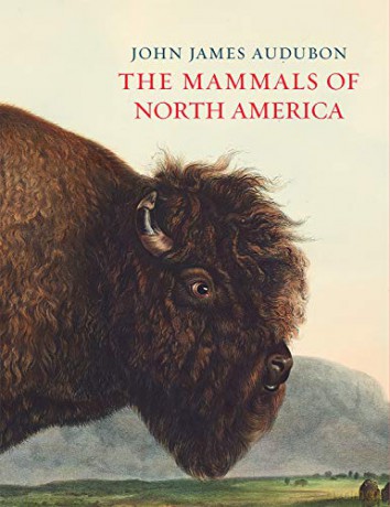 The Mammals of North America - John James Audubon [KSIĄŻKA]