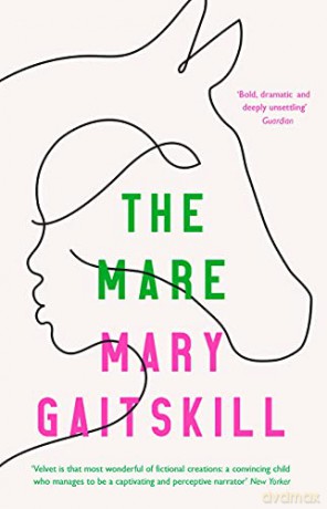 The Mare - Mary Gaitskill [KSIĄŻKA]
