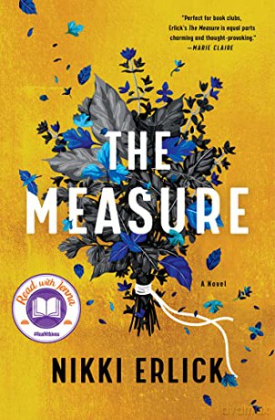 The Measure: A Novel - Nikki Erlick [KSIĄŻKA]