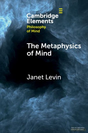 The Metaphysics of Mind (Elements in Philosophy of Mind) - Janet Levin [KSIĄŻKA]