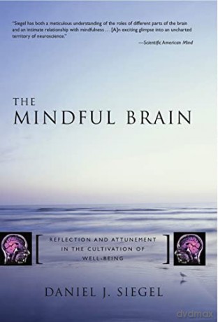 The Mindful Brain in Human Development: Reflection and Attunement in the Cultivation of Well-being: 0 (Norton Series on Interpersonal Neurobiology) - Daniel J. Siegel [KSIĄŻKA]
