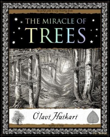 The Miracle of Trees: Their Life and Biology - Olavi Huikari [KSIĄŻKA]