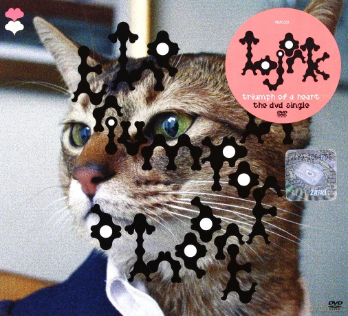 Bjork: Triumph Of A Heart -Single [DVD]