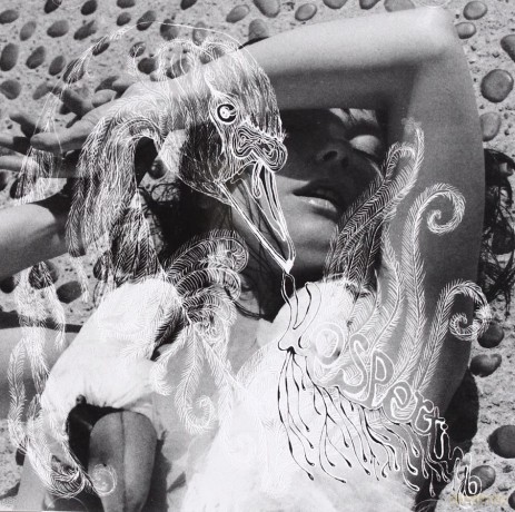 Bjork: Vespertine Eu [CD]