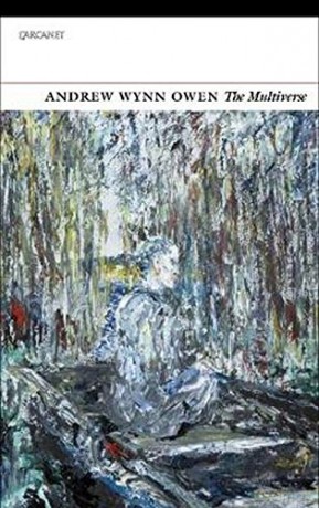 The Multiverse - Andrew Wynn Owen [KSIĄŻKA]