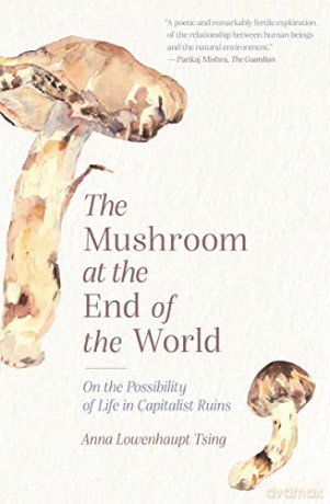 The Mushroom at the End of the World: On the Possibility of Life in Capitalist Ruins - Tsing [KSIĄŻKA]