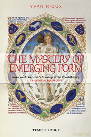 The Mystery of Emerging Form: Imma Von Eckardstein's Drawings of the Constellations - A Biological Perspective - Yvan Rioux [KSIĄŻKA]