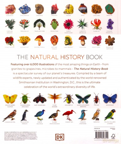The Natural History Book: The Ultimate Visual Guide to Everything on Earth [KSIĄŻKA]