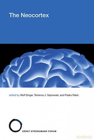 The Neocortex: 27 (Strüngmann Forum Reports, 27) - Wolf Singer [KSIĄŻKA]