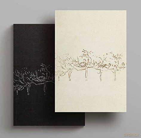 The Notebooks and Drawings of Louis I. Kahn: Facsimile Edition and Reader's Guide - Richard Saul Wurman [KSIĄŻKA]