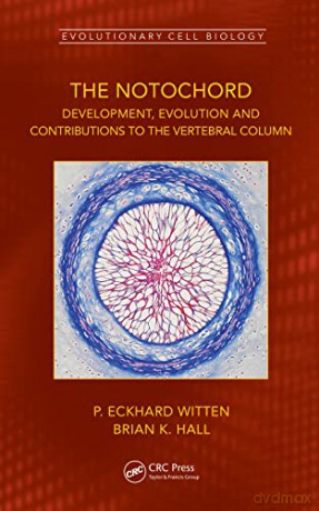 The Notochord: Development, Evolution and Contributions to the Vertebral Column (Evolutionary Cell Biology) - P. Eckhard Witten [KSIĄŻKA]