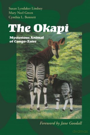 The Okapi: Mysterious Animal of Congo-Zaire - Cynthia L. Bennett [KSIĄŻKA]