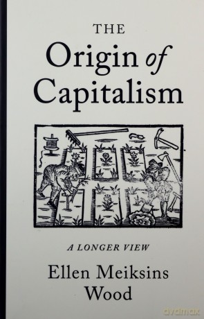 The Origin of Capitalism: A Longer View - Ellen Meiksins Wood [KSIĄŻKA]