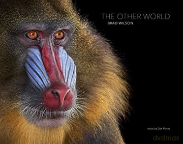 The Other World: Animal Portraits - Brad Wilson [KSIĄŻKA]