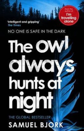 The Owl Always Hunts at Night: (Munch and Krüger Book 2) (Munch and Krüger, 2) - Samuel Bjork [KSIĄŻKA]