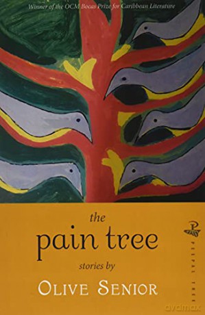 The Pain Tree - Olive Senior [KSIĄŻKA]