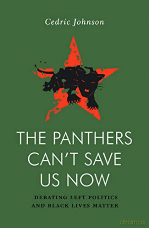 The Panthers Can't Save Us Now: Debating Left Politics and Black Lives Matter (Jacobin) - Cedric Johnson [KSIĄŻKA]