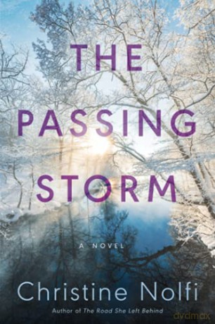 The Passing Storm: A Novel - Christine Nolfi [KSIĄŻKA]