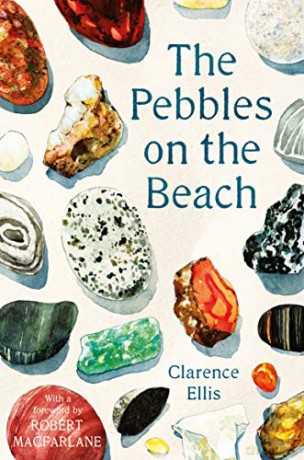 The Pebbles on the Beach - Clarence Ellis [KSIĄŻKA]