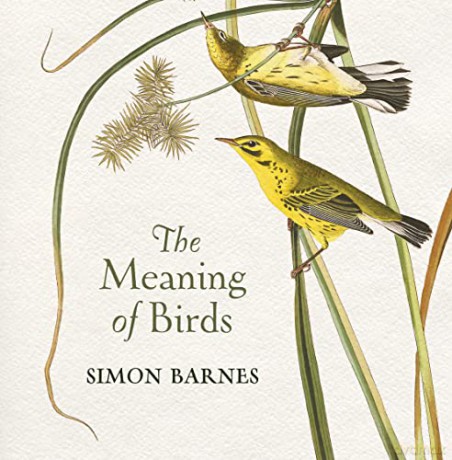 The Wisdom Of Birds (The Meaning of Birds) - Simon Barnes [KSIĄŻKA]