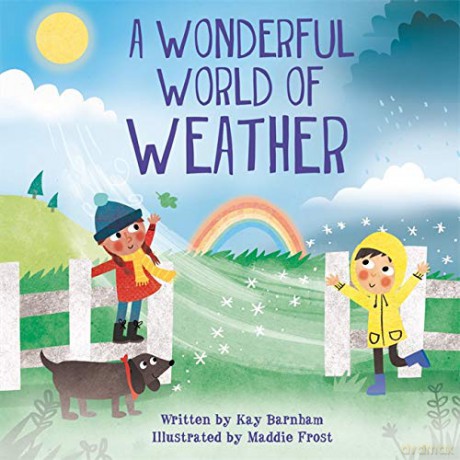 The Wonderful World of Weather - Kay Barnham [KSIĄŻKA]