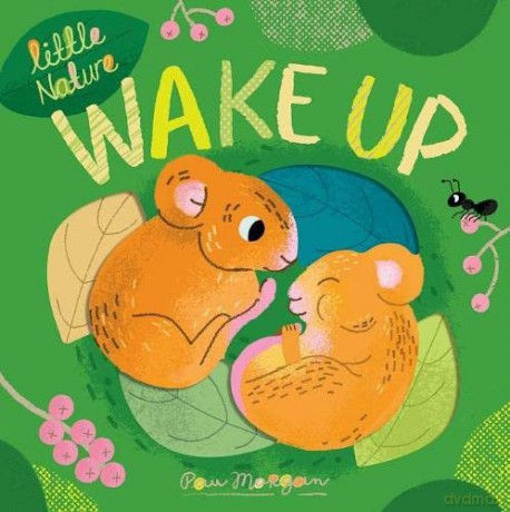 Wake Up: 3 (Little Nature, 3) - Pau Morgan [KSIĄŻKA]