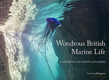 Wondrous British Marine Life: A handbook for coastal explorers - Lou Ludington [KSIĄŻKA]
