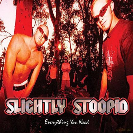 Slightly Stoopid: Everything You Need [Winyl]
