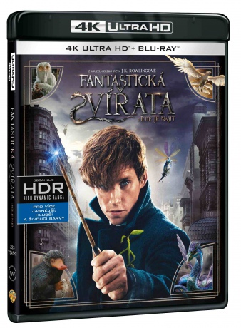 Fantastyczne zwierzęta i jak je znaleźć [Blu-Ray 4K]+[Blu-Ray]