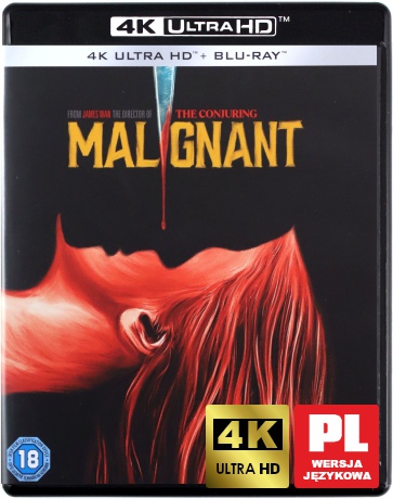 Wcielenie [Blu-Ray 4K]+[Blu-Ray]
