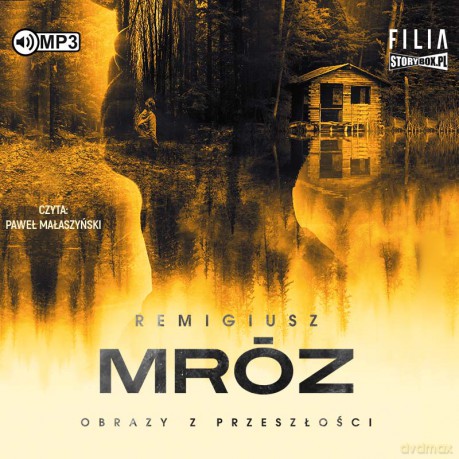 Obrazy z przeszłości - Remigiusz Mróz [AUDIOBOOK]