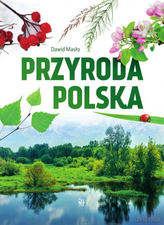 Przyroda polska - Dawid Masło [KSIĄŻKA]