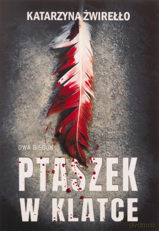 Ptaszek w klatce - Katarzyna Żwirełło [KSIĄŻKA]