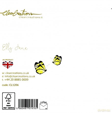 Karnet Swarovski kwadrat CL1206 Sowy