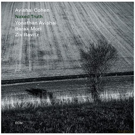 Avishai Cohen: Naked Truth [Winyl]