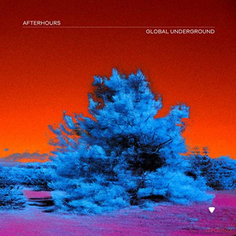 Global Underground: Global Underground: Afterhours 9 [2CD]