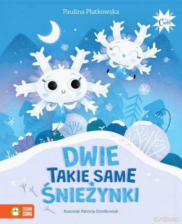 Dwie takie same śnieżynki - Paulina Płatkowska [KSIĄŻKA]
