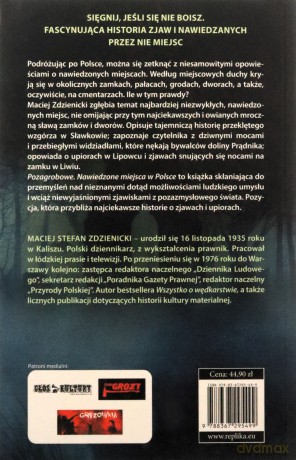 Pozagrobowe. Nawiedzone miejsca w Polsce. Nawiedzenia i opętania - Maciej Zdzienicki [KSIĄŻKA]