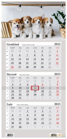Kalendarz 2023 Trójdzielny Psy Corgi [KALENDARZ]