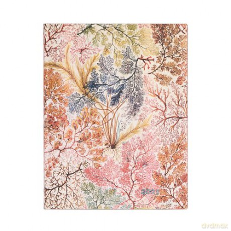 Kalendarz Paperblanks 2023 Anemone Flexi Ultra Tygodniowy VER [KALENDARZ]