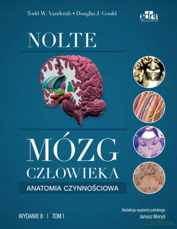 Mózg człowieka. Anatomia czynnościowa mózgowia (Tom 1) - Vanderah T.W., D.J. Gould [KSIĄŻKA]