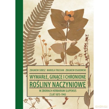 Wymarłe, ginące i chronione rośliny naczyniowe w zbiorach Herbarium Slupensis z lat 1875-1943 - Zbigniew Sobisz, Mariola Truchan [KSIĄŻKA]
