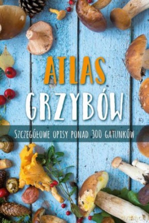Atlas grzybów - Markus Fluck [KSIĄŻKA]