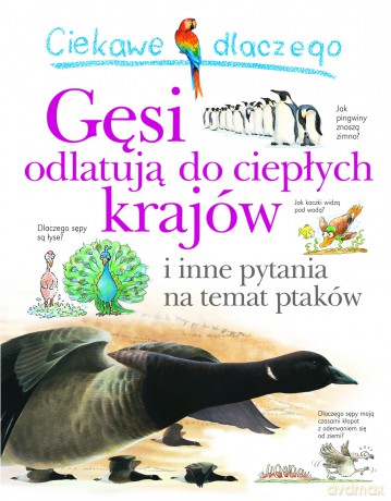 Ciekawe dlaczego gęsi odlatują do ciepłych krajów - Amanda O'Neill [KSIĄŻKA]