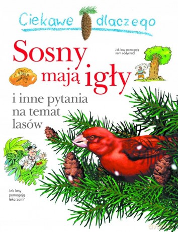 Ciekawe dlaczego sosny mają igły - Jackie Gaff [KSIĄŻKA]