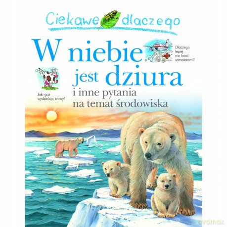 Ciekawe dlaczego w niebie jest dziura - Sean Callery [KSIĄŻKA]